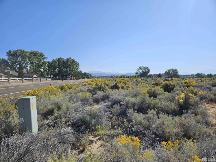 1205 Stephanie, Minden, Nevada 89423, ,Land,Residential,Stephanie,250058787
