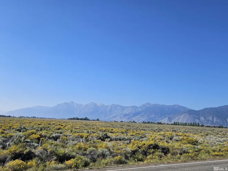 1205 Stephanie, Minden, Nevada 89423, ,Land,Residential,Stephanie,250058787