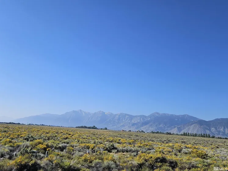 1205 Stephanie, Minden, Nevada 89423, ,Land,Residential,Stephanie,250058787