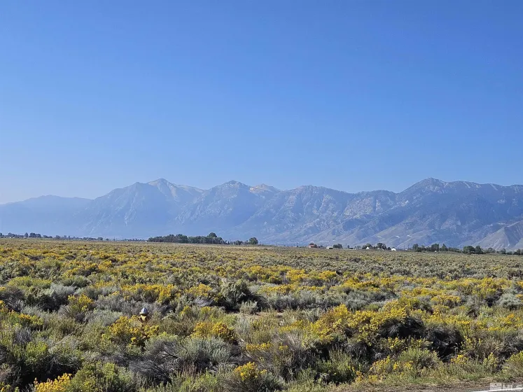 1205 Stephanie, Minden, Nevada 89423, ,Land,Residential,Stephanie,250058787