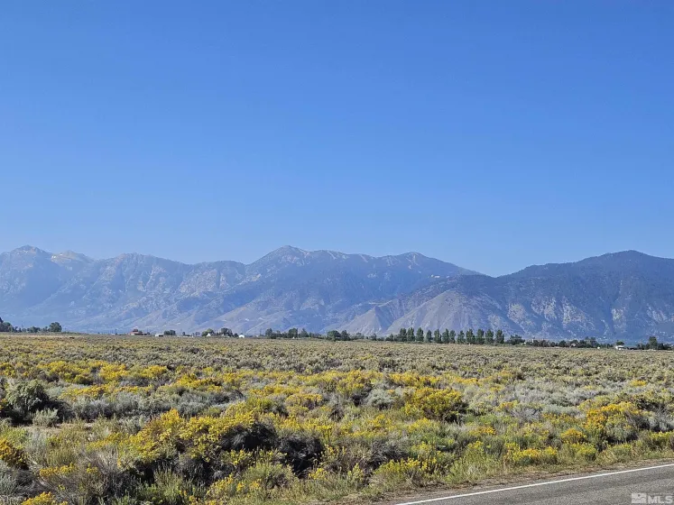 1205 Stephanie, Minden, Nevada 89423, ,Land,Residential,Stephanie,250058787