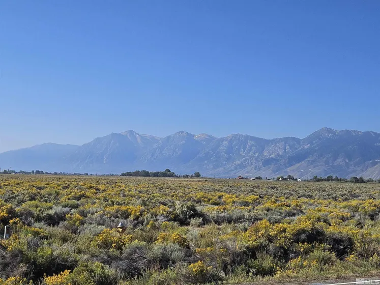 1205 Stephanie, Minden, Nevada 89423, ,Land,Residential,Stephanie,250058787