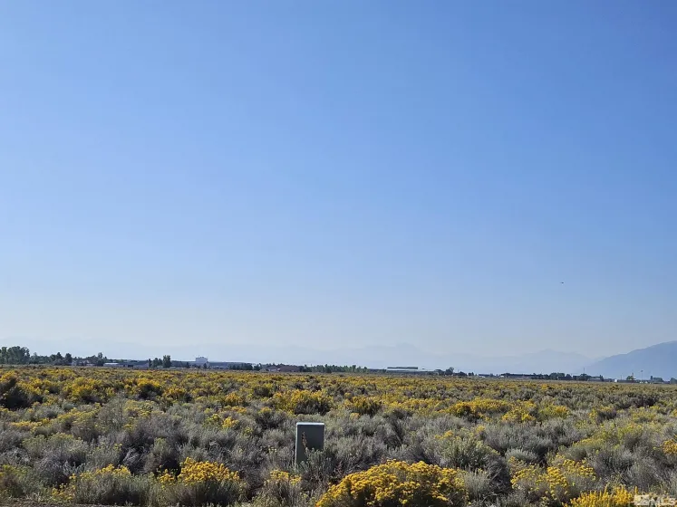 1205 Stephanie, Minden, Nevada 89423, ,Land,Residential,Stephanie,250058787