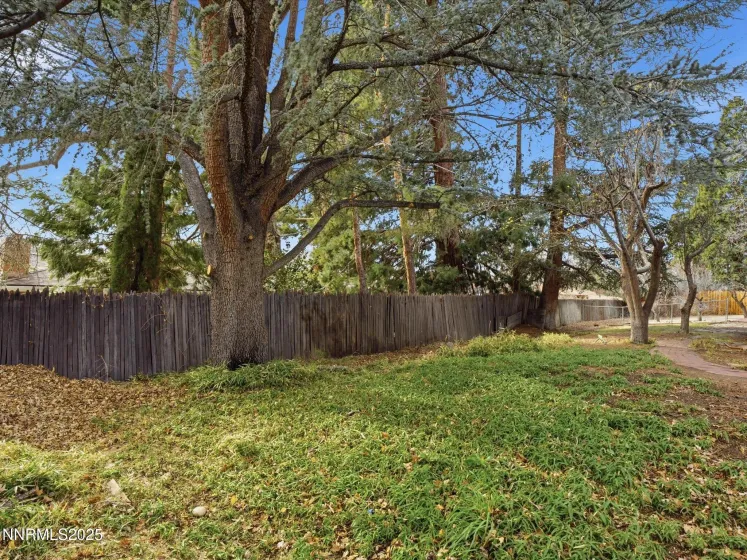 960 12th, Reno, Nevada 89503, 5 Bedrooms Bedrooms, ,3 BathroomsBathrooms,Residential,Residential,12th,250059308