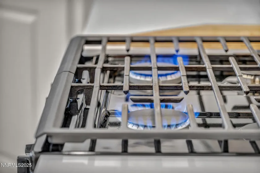 167 Butte Creek, Dayton, Nevada 89403, 4 Bedrooms Bedrooms, ,2 BathroomsBathrooms,Residential,Residential,Butte Creek,250059312