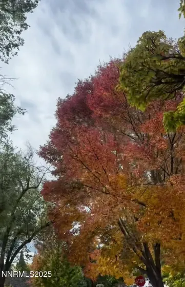 611 & 611A Nixon, Reno, Nevada 89509, 3 Bedrooms Bedrooms, ,2 BathroomsBathrooms,Residential,Residential,Nixon,250059324