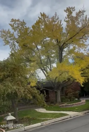 611 & 611A Nixon, Reno, Nevada 89509, 3 Bedrooms Bedrooms, ,2 BathroomsBathrooms,Residential,Residential,Nixon,250059324