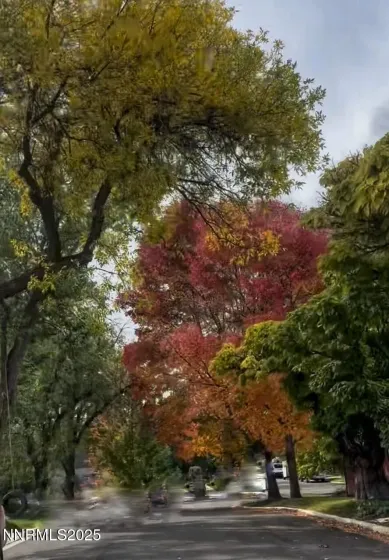 611 & 611A Nixon, Reno, Nevada 89509, 3 Bedrooms Bedrooms, ,2 BathroomsBathrooms,Residential,Residential,Nixon,250059324