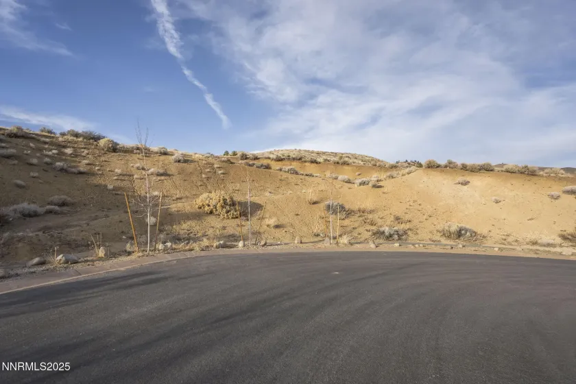 8195 Fox Meadows, Reno, Nevada 89523, ,Land,Residential,Fox Meadows,250059325