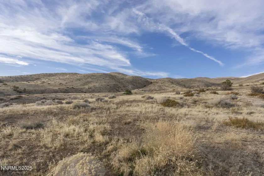 8195 Fox Meadows, Reno, Nevada 89523, ,Land,Residential,Fox Meadows,250059325