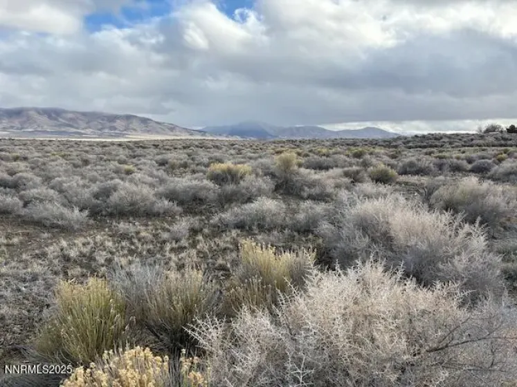 T33 R37 Sec 1 Van Diest Rd., Winnemucca, Nevada 89445, ,Land,Residential,Van Diest Rd.,250059329