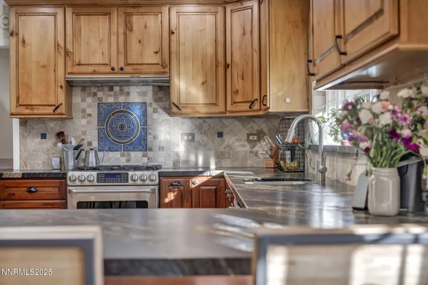 1760 Marla, Reno, Nevada 89509, 3 Bedrooms Bedrooms, ,3 BathroomsBathrooms,Residential,Residential,Marla,250059331