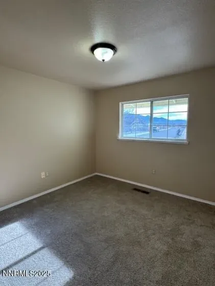 2044 Lonnie, Dayton, Nevada 89403, 3 Bedrooms Bedrooms, ,2 BathroomsBathrooms,Residential,Residential,Lonnie,250059336