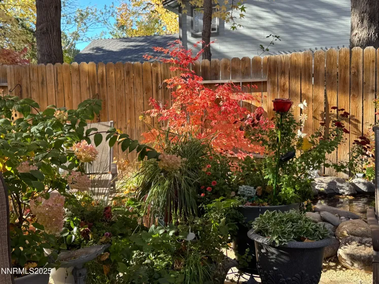 3900 Cashill, Reno, Nevada 89509, 3 Bedrooms Bedrooms, ,3 BathroomsBathrooms,Residential,Residential,Cashill,250059339