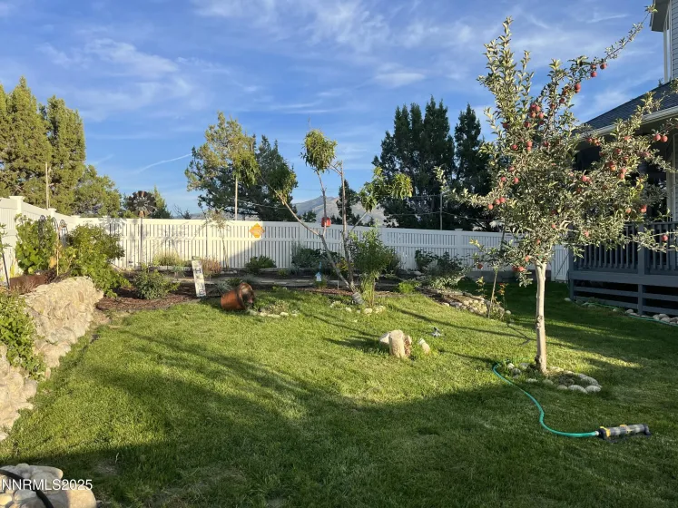 271 Greencrest, Spring Creek, Nevada 89815, 3 Bedrooms Bedrooms, ,3 BathroomsBathrooms,Residential,Residential,Greencrest,250059360