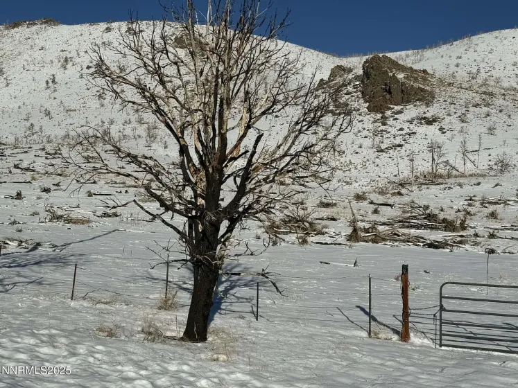 TBD Hwy 395, Gardnerville, Nevada 89410, ,Land,Residential,Hwy 395,250059367
