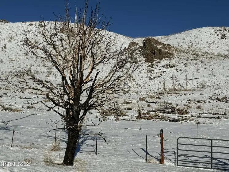 TBD Hwy 395, Gardnerville, Nevada 89410, ,Land,Residential,Hwy 395,250059367