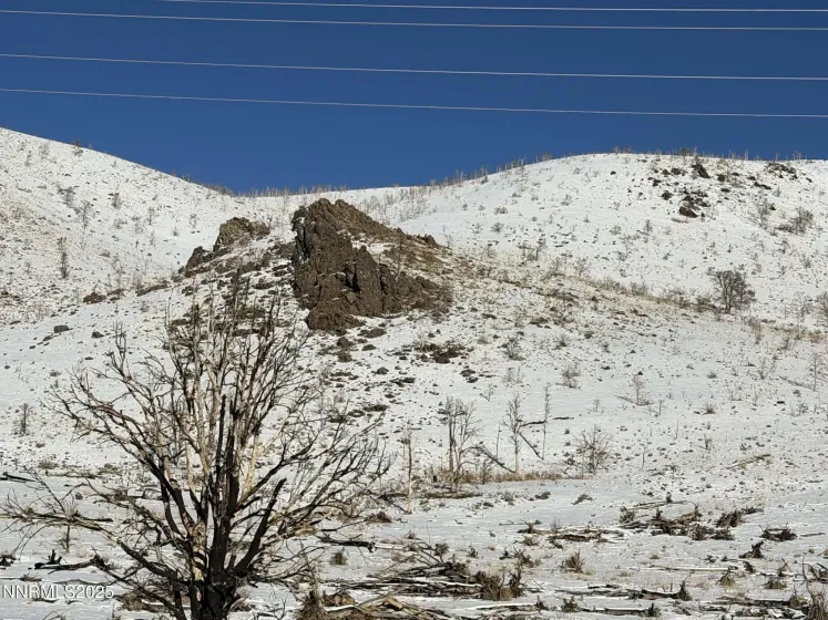 TBD Hwy 395, Gardnerville, Nevada 89410, ,Land,Residential,Hwy 395,250059367