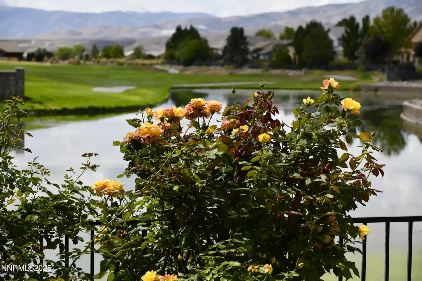 607 St Andrews, Dayton, Nevada 89403, 4 Bedrooms Bedrooms, ,3 BathroomsBathrooms,Residential,Residential,St Andrews,250055786