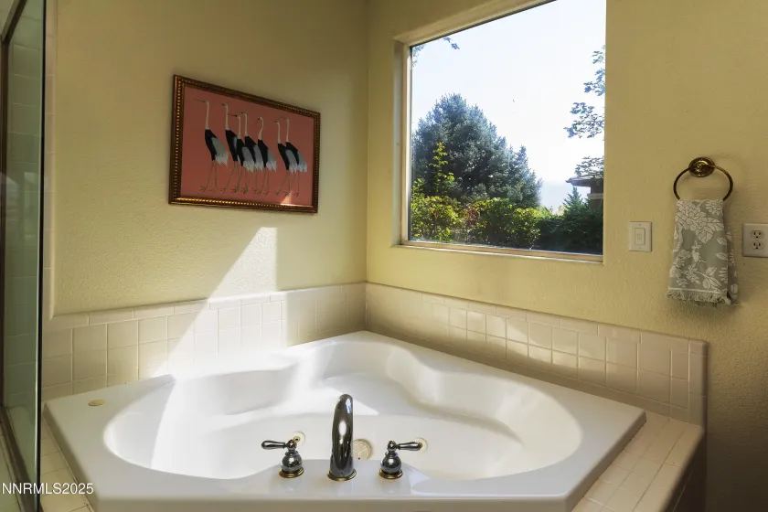 607 St Andrews, Dayton, Nevada 89403, 4 Bedrooms Bedrooms, ,3 BathroomsBathrooms,Residential,Residential,St Andrews,250055786