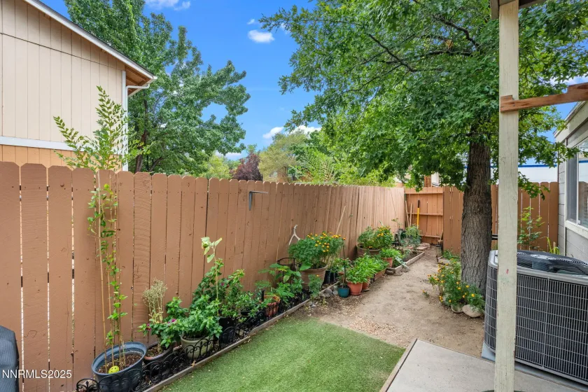 1563 Steven, Sparks, Nevada 89431, 3 Bedrooms Bedrooms, ,2 BathroomsBathrooms,Residential,Residential,Steven,250059400