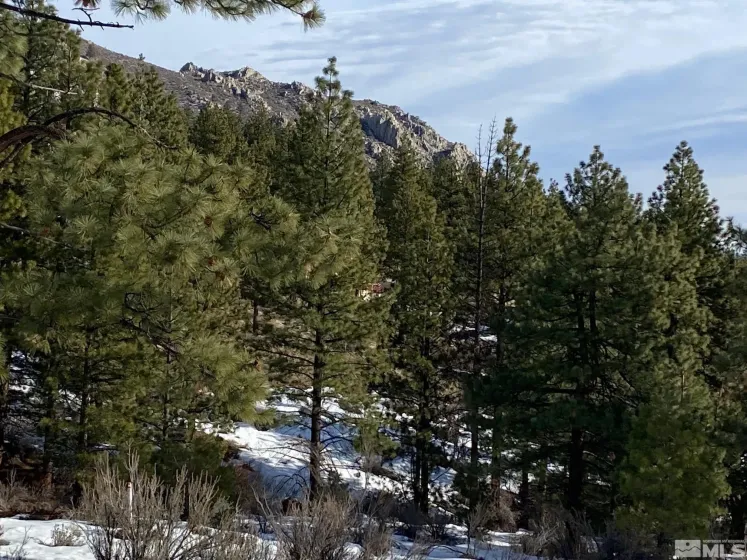 3521 Cutoff, Carson City, Nevada 89705, ,Land,Residential,Cutoff,260000011