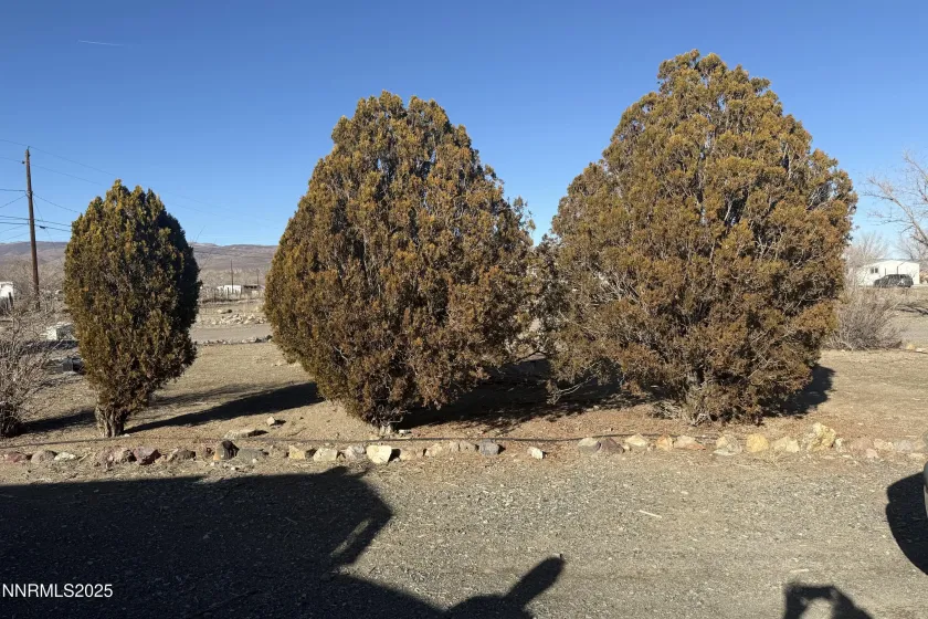 3801 Citrus, Silver Springs, Nevada 89429, 3 Bedrooms Bedrooms, ,2 BathroomsBathrooms,Residential,Residential,Citrus,260000017