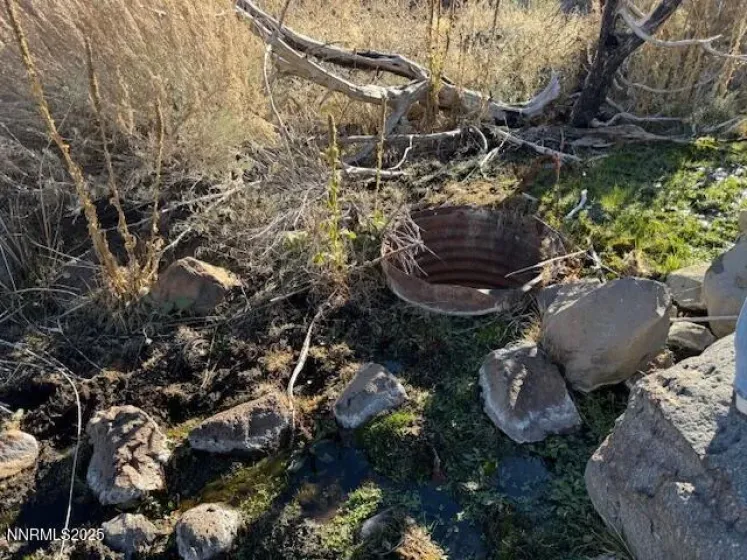 1200 Rodero, Reno, Nevada 89510, ,Land,Residential,Rodero,250059436