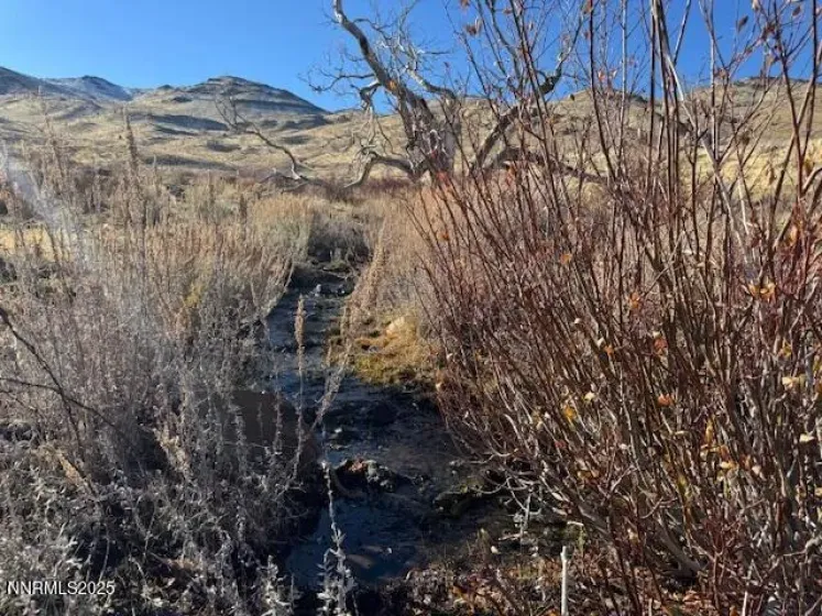 1200 Rodero, Reno, Nevada 89510, ,Land,Residential,Rodero,250059436