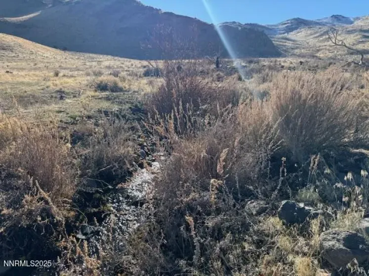 1200 Rodero, Reno, Nevada 89510, ,Land,Residential,Rodero,250059436