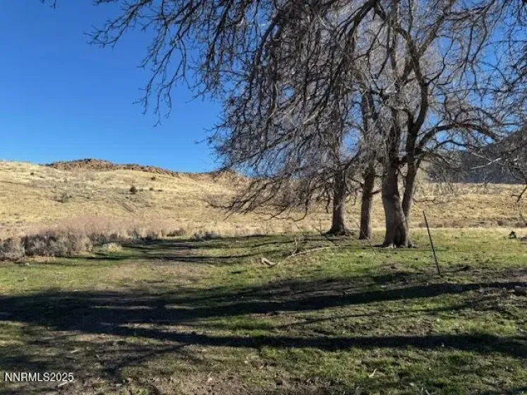 1200 Rodero, Reno, Nevada 89510, ,Land,Residential,Rodero,250059436