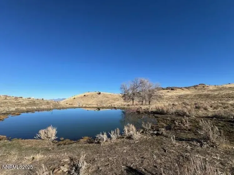 1200 Rodero, Reno, Nevada 89510, ,Land,Residential,Rodero,250059436