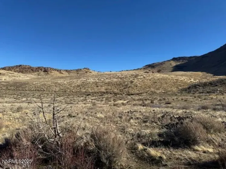 1200 Rodero, Reno, Nevada 89510, ,Land,Residential,Rodero,250059436