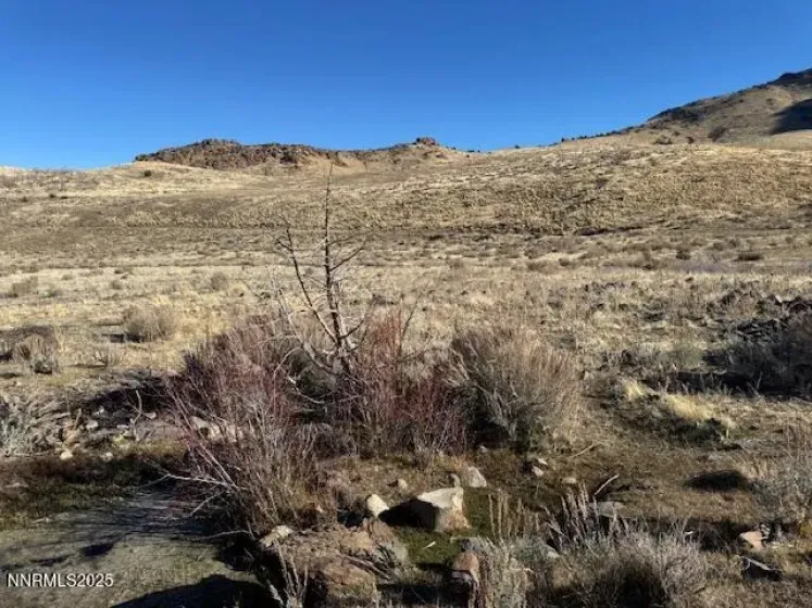 1200 Rodero, Reno, Nevada 89510, ,Land,Residential,Rodero,250059436