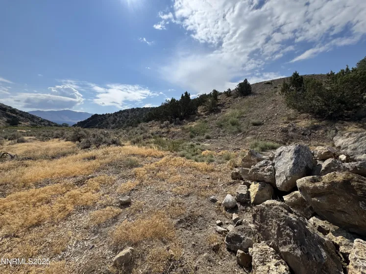 TBD Old Ranch, Gardnerville, Nevada 89410, ,Land,Residential,Old Ranch,250055249