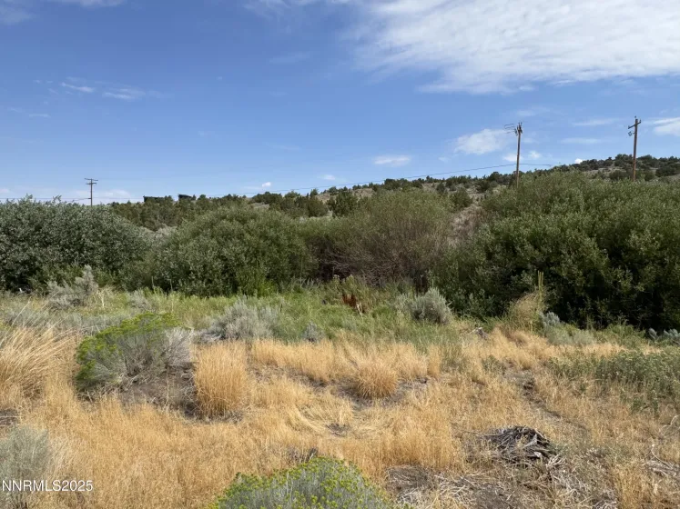 TBD Old Ranch, Gardnerville, Nevada 89410, ,Land,Residential,Old Ranch,250055249