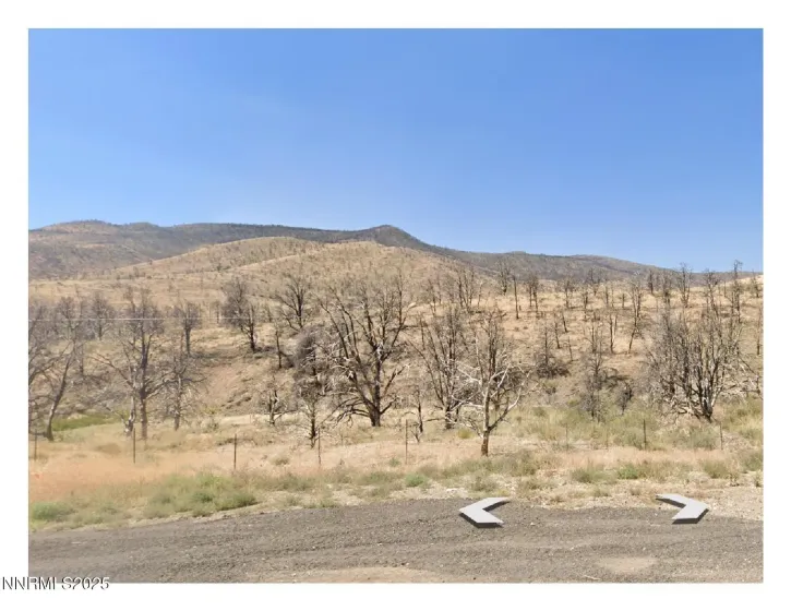 TBD Devenpeck, Double Spring, Nevada 89410, ,Land,Residential,Devenpeck,250052718