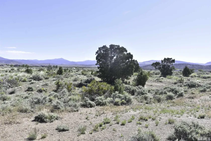 TBD Homestead, Gardnerville, Nevada 89410, ,Land,Residential,Homestead,240012887