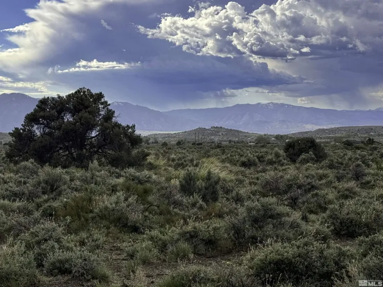 TBD Homestead, Gardnerville, Nevada 89410, ,Land,Residential,Homestead,240012887