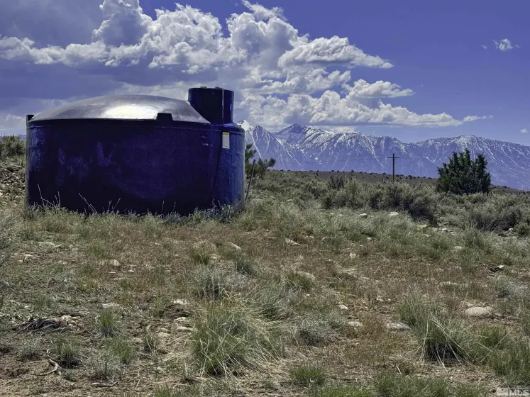 TBD Homestead, Gardnerville, Nevada 89410, ,Land,Residential,Homestead,240012887