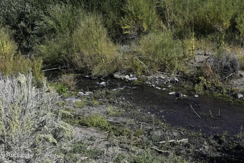 Pine Nut Creek flows along the north perimeter.