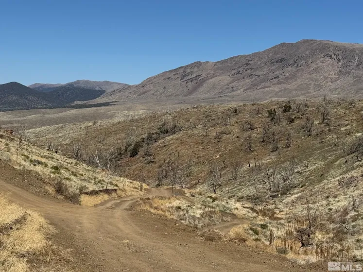 TBD parcels at Pine Nut Creek area, Gardnerville, Nevada 89410, ,Land,Residential,parcels at Pine Nut Creek area,220001078