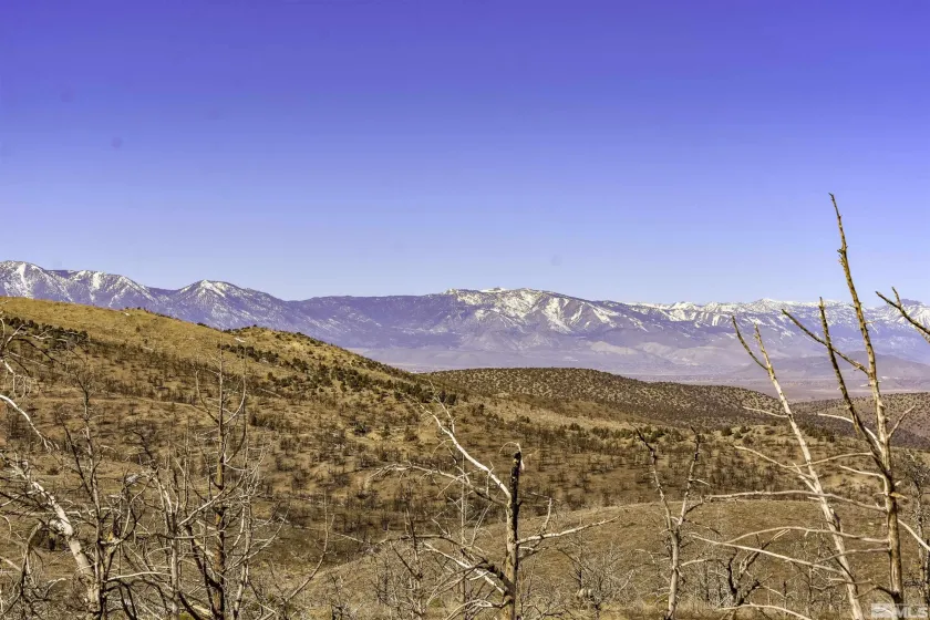 TBD parcels at Pine Nut Creek area, Gardnerville, Nevada 89410, ,Land,Residential,parcels at Pine Nut Creek area,220001078