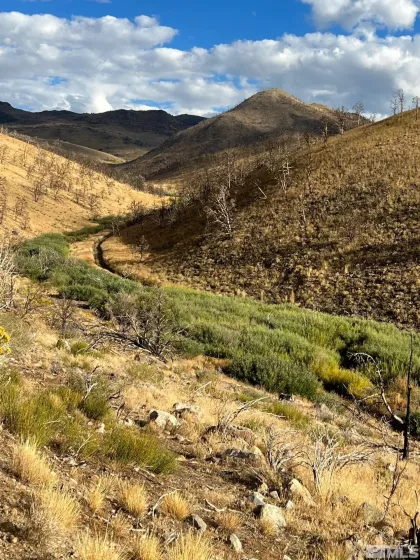 TBD parcels at Pine Nut Creek area, Gardnerville, Nevada 89410, ,Land,Residential,parcels at Pine Nut Creek area,220001078