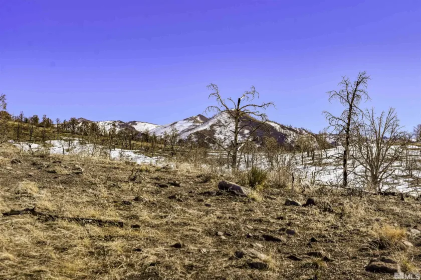 TBD parcels at Pine Nut Creek area, Gardnerville, Nevada 89410, ,Land,Residential,parcels at Pine Nut Creek area,220001078