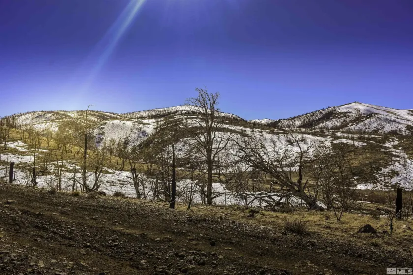 TBD parcels at Pine Nut Creek area, Gardnerville, Nevada 89410, ,Land,Residential,parcels at Pine Nut Creek area,220001078