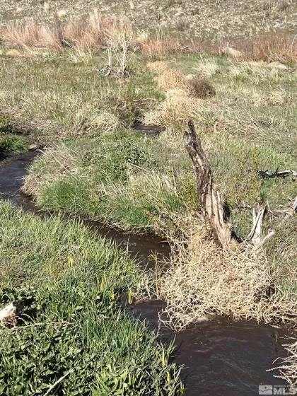 TBD parcels at Pine Nut Creek area, Gardnerville, Nevada 89410, ,Land,Residential,parcels at Pine Nut Creek area,220001078