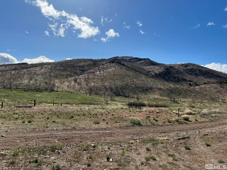 TBD parcels at Pine Nut Creek area, Gardnerville, Nevada 89410, ,Land,Residential,parcels at Pine Nut Creek area,220001078