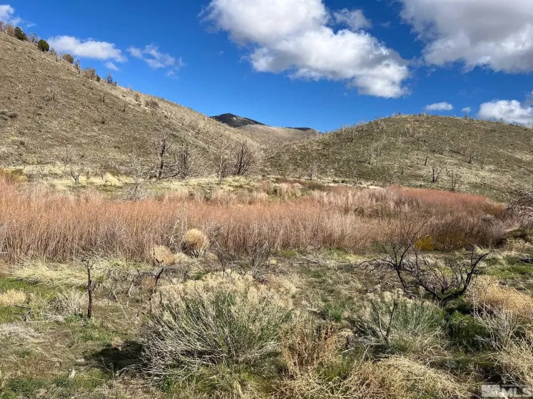 TBD parcels at Pine Nut Creek area, Gardnerville, Nevada 89410, ,Land,Residential,parcels at Pine Nut Creek area,220001078