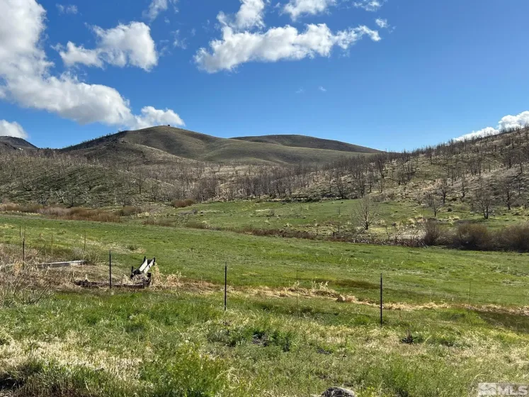 TBD parcels at Pine Nut Creek area, Gardnerville, Nevada 89410, ,Land,Residential,parcels at Pine Nut Creek area,220001078